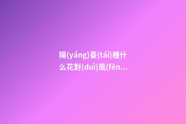 陽(yáng)臺(tái)種什么花對(duì)風(fēng)水好 適合種在陽(yáng)臺(tái)的花